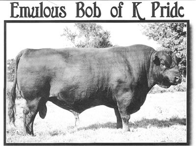 Emulous Bob of K Pride