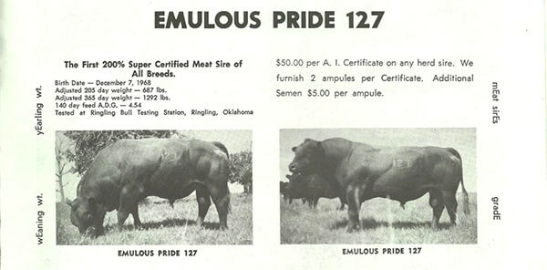Emulous Pride 127